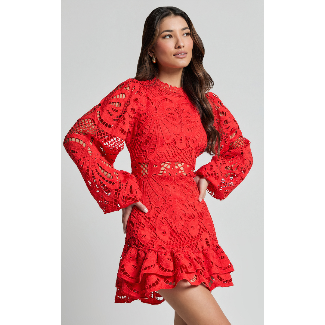 Elyna - Lace Elegance Dress